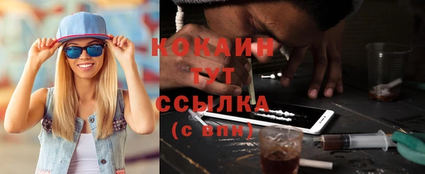трава Няндома