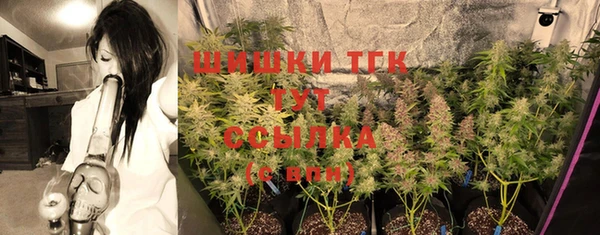 трава Няндома