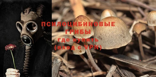 трава Няндома